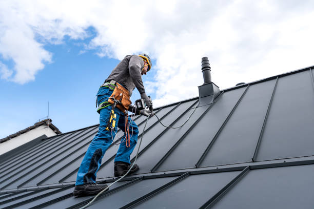 Best Sheet Metal Roofing  in Sevierville, TN
